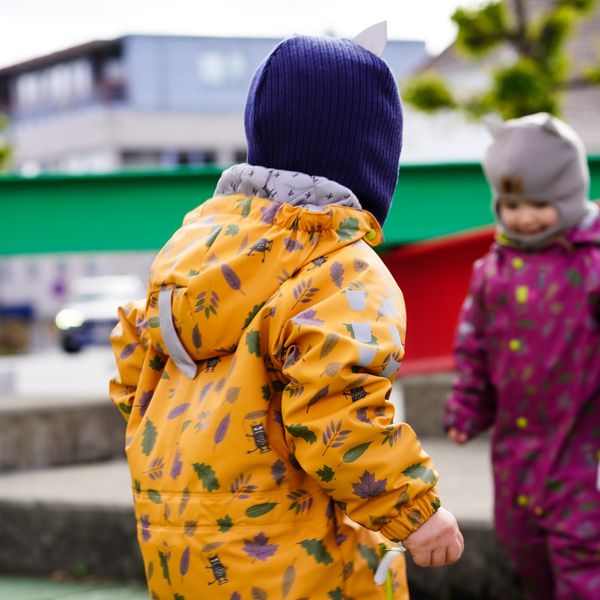 Kattnakken , Vinterregndress slaps honning