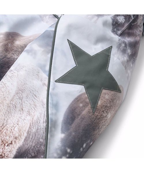 Molo, Hopla fur bison