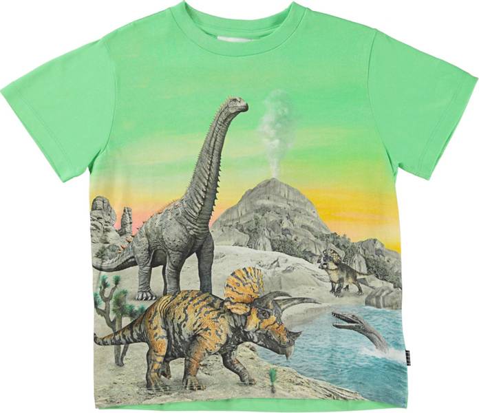 Molo, Rame colourful dinos tskjorte