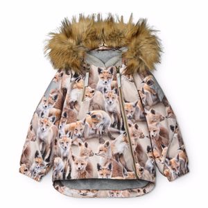 Hovedbilde Molo, Hopla fur playing foxes