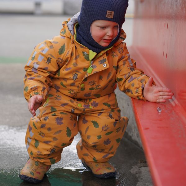 Kattnakken , Vinterregndress slaps honning