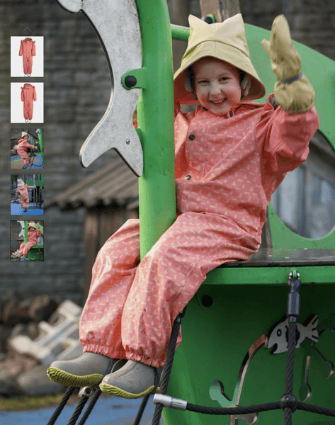 Kattnakken , Hel&aring;rsregndress s&oslash;le, stokkrose